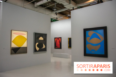 Exposition Vasarely Centre Pompidou, nos photos