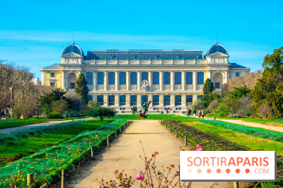 Mille et une Orchidées 2019 au Jardin des Plantes, les photos