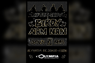 Soirée, Paris,Toxic, After Show, Birdy Nam Nam, BNN