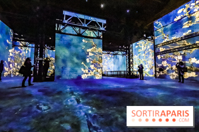 Exposition Van Gogh à l'Atelier des Lumières, les photos