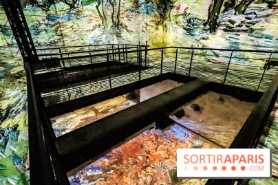 Exposition Van Gogh à l'Atelier des Lumières, les photos