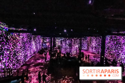 Japon rêvé, l'exposition immersive à l'Atelier des Lumières, les photos