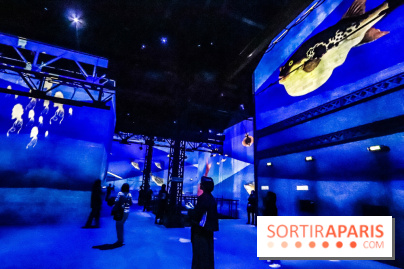 Japon rêvé, l'exposition immersive à l'Atelier des Lumières, les photos