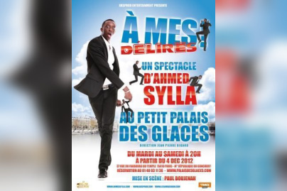 Ahmed Sylla, "A mes délires"