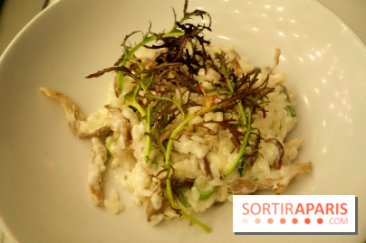 Tous : restaurant bistronomique à Paris, les photos