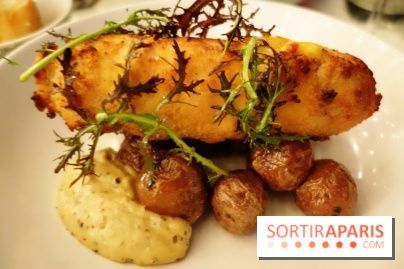 Tous : restaurant bistronomique à Paris, les photos