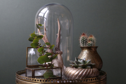 The Blond Cactus, quand le cactus passe en mode vintage