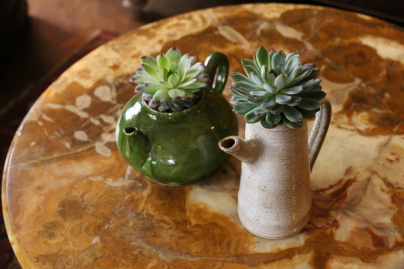 The Blond Cactus, quand le cactus passe en mode vintage