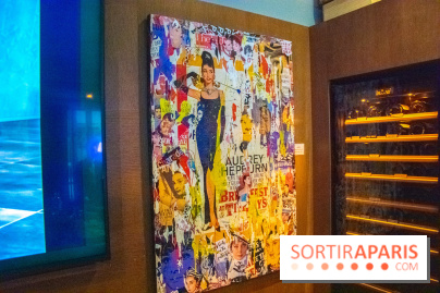 Exposition Anne Mondy à la brasserie Mon Paris !