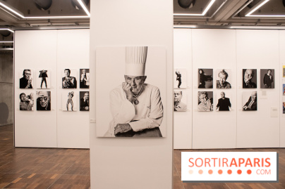 Stéphane de Bourgies, Quand le masque tombe