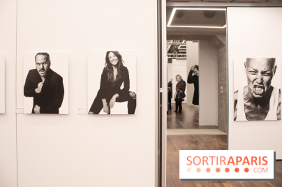 Stéphane de Bourgies, Quand le masque tombe