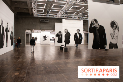 Stéphane de Bourgies, Quand le masque tombe