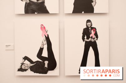 Stéphane de Bourgies, Quand le masque tombe