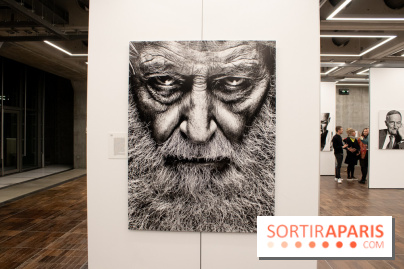 Stéphane de Bourgies, Quand le masque tombe