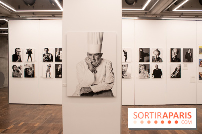 Stéphane de Bourgies, Quand le masque tombe