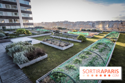 Le Cordon Bleu, cours de cuisine et nouveau café