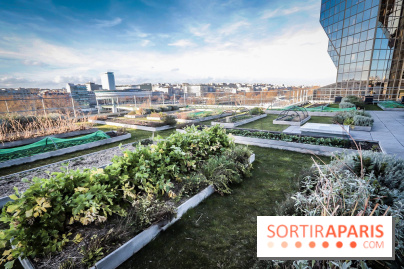 Le Cordon Bleu, cours de cuisine et nouveau café