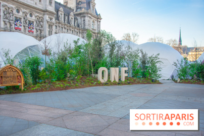 La forêt, une expérience à vivre sur le Parvis de l'Hôtel de Ville