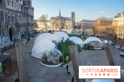 La forêt, une expérience à vivre sur le Parvis de l'Hôtel de Ville