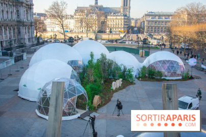 La forêt, une expérience à vivre sur le Parvis de l'Hôtel de Ville