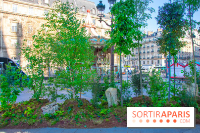 La forêt, une expérience à vivre sur le Parvis de l'Hôtel de Ville