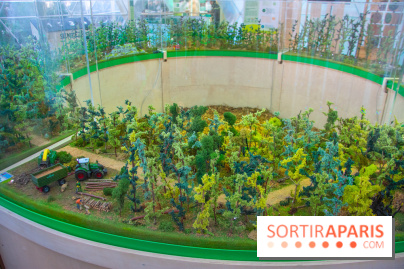 La forêt, une expérience à vivre sur le Parvis de l'Hôtel de Ville