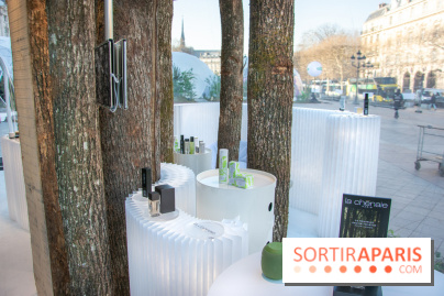 La forêt, une expérience à vivre sur le Parvis de l'Hôtel de Ville