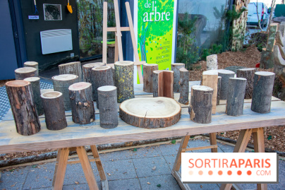 La forêt, une expérience à vivre sur le Parvis de l'Hôtel de Ville