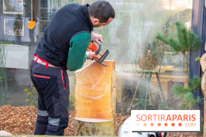 La forêt, une expérience à vivre sur le Parvis de l'Hôtel de Ville