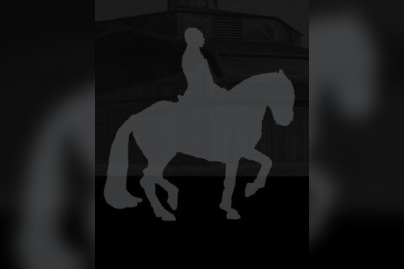 Lever de soleil, Bartabas, Cheval, Académie Equestre, Quartier d'été