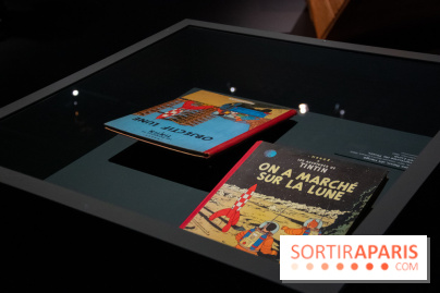 Exposition Lune au Grand Palais, nos photos 