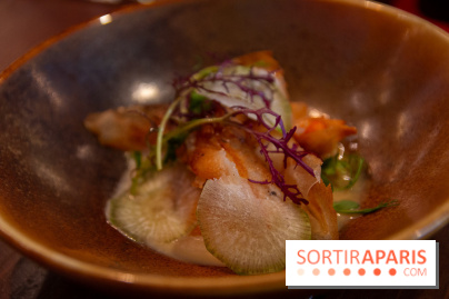 L'escient : nos photos