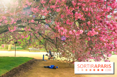 Le Jardin des Plantes