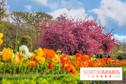 Le Jardin des Plantes