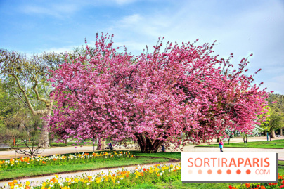 Le Jardin des Plantes