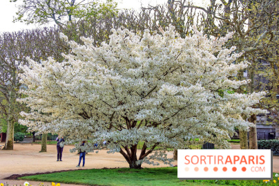 Le Jardin des Plantes
