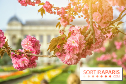 Le Jardin des Plantes