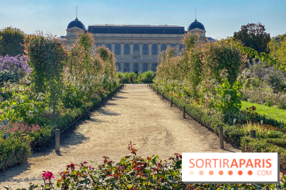Le Jardin des Plantes