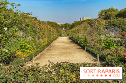 Le Jardin des Plantes