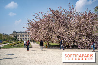 Le Jardin des Plantes