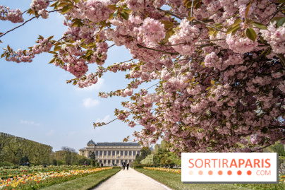 Le Jardin des Plantes