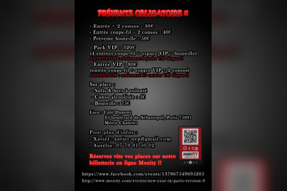 NEW YEAR in PARIS version 3 (2013)