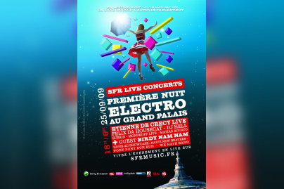 SFR, SFR live concerts, Grand Palais, Paris, Concerts, Etienne de Crécy. Birdy Nam Nam, BNN