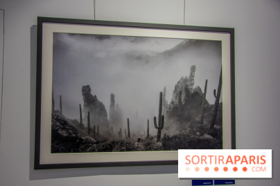 Exposition Unknown Places à la galerie Joseph - Froissart, nos photos