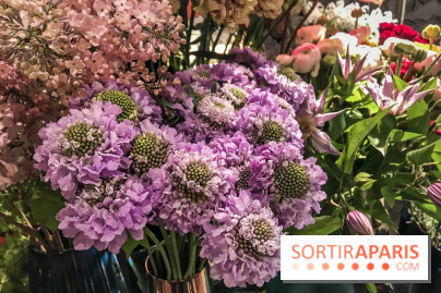 Boya Paris, fleuriste et artisanat