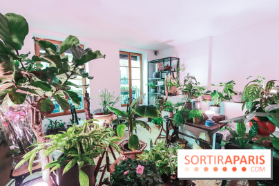 Boya Paris, fleuriste et artisanat