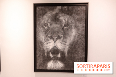 Contemporary Art Fair Paris 2019