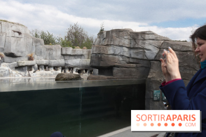 Parc Zoologique de Paris 2019