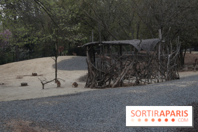 Parc Zoologique de Paris 2019