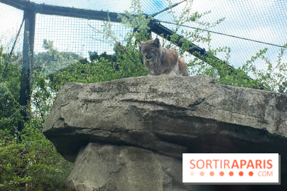 Parc Zoologique de Paris 2019